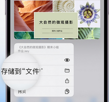 元江apple维修中心分享iPhone文件应用中存储和找到下载文件