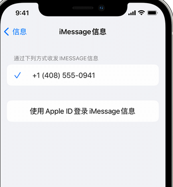 元江apple维修iPhone上无法正常发送iMessage信息 