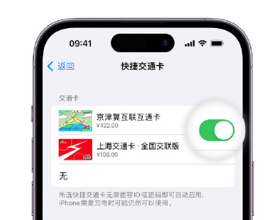 元江apple维修点分享iPhone上更换Apple Pay快捷交通卡手绘卡面 