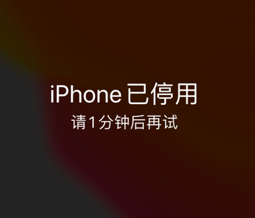 元江苹果手机维修分享:iPhone 显示“不可用”或“已停用”怎么办？还能保留数据吗？ 