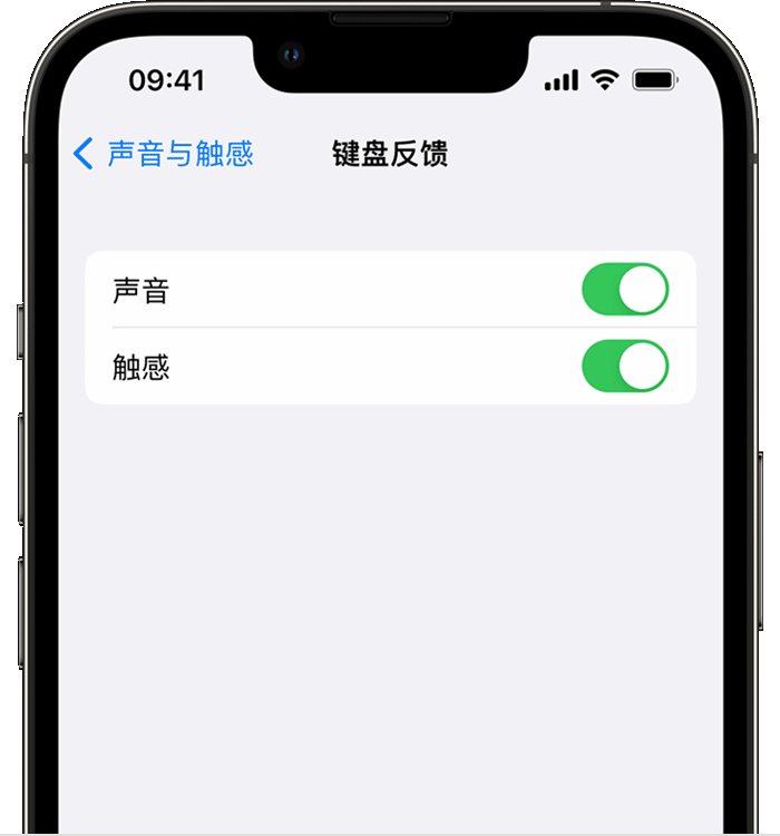 元江苹果14维修店分享如何在 iPhone 14 机型中使用触感键盘 