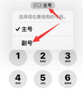 元江苹果14维修店分享iPhone 14 Pro Max使用副卡打电话的方法 