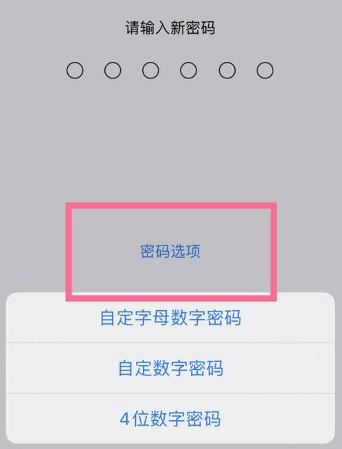 元江苹果14维修分享iPhone 14plus设置密码的方法 