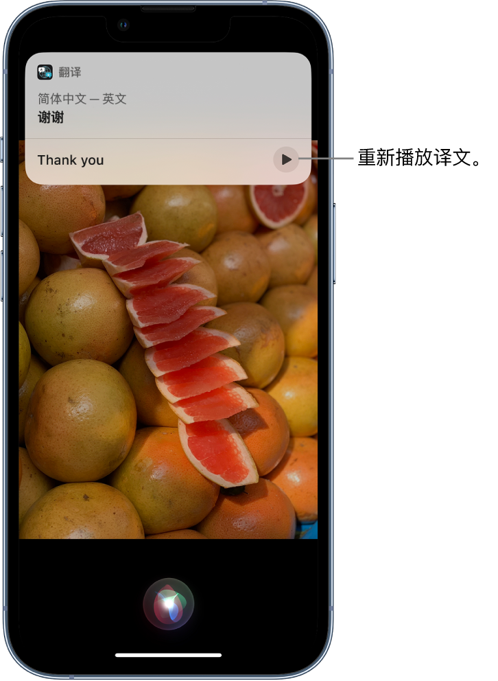 元江苹果14维修分享 iPhone 14 机型中使用 Siri：了解 Siri 能帮你做什么 