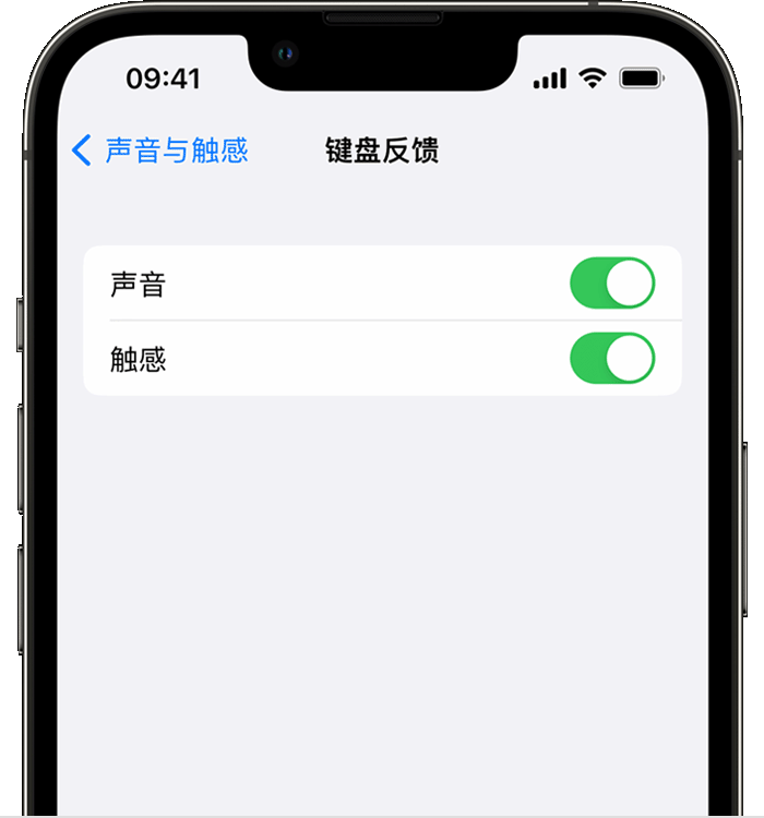 元江苹果14维修分享iPhone 14 系列机型如何开启键盘声音或触感反馈 