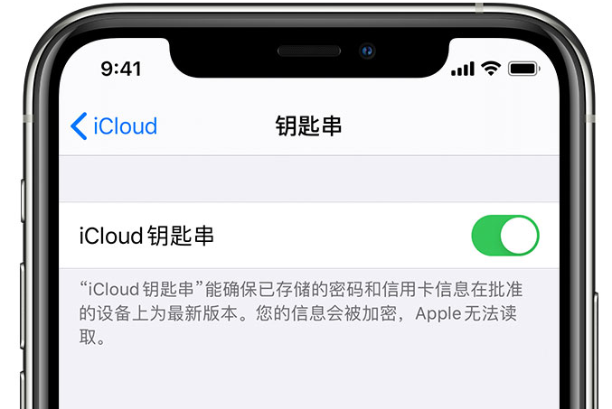 元江苹果手机维修分享在 iPhone 上开启 iCloud 钥匙串之后会储存哪些信息 