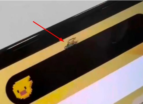 元江苹果14维修分享iPhone 14 Pro Max灵动岛怎么养宠物 