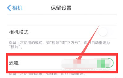 元江苹果13维修分享iPhone13拍照有绿点是怎么回事 