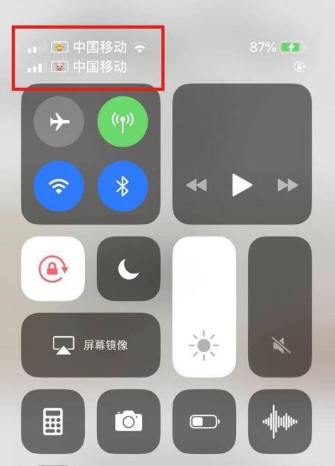 元江苹果手机维修分享为 iPhone 12 双卡设置标签 